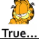 garfield_true