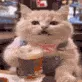 BeerCat BeerCat