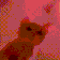 Dancecat