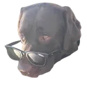 bennyjudge