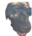 bennygroovin
