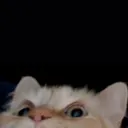Peek