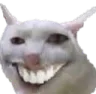 xdd xdd