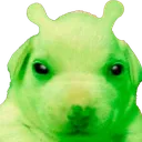 PerroViroloAlien