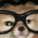 fen_nerd