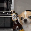 taagutaventraa taagutaventraa