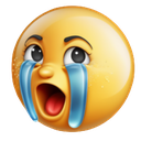 sob2k Discord emoji