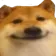 cheems