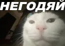 negodyai