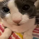 evil_beast