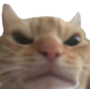 c_1madcat custom emote from 🎤 Riff-Off | Singing, Games, Daily Events, Community