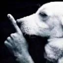 shhhhhhhhhh