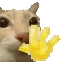hihello