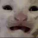 emoji_22