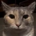 ohno