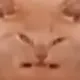 ouchCat