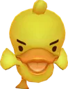 ducky13
