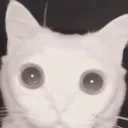 Looksatyou