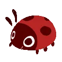 ladybug_jump