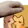skyeheadpat
