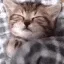 Sleepo