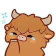 hehe