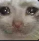 k_