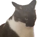 grr