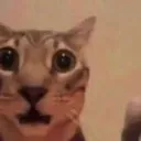 __