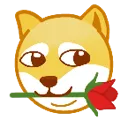 bbrosedoge