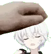 Erikapats