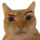 CatSus