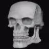 skulgif