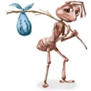 ant ant