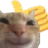 catyes