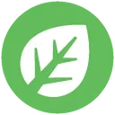Grass