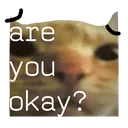 caring_cat