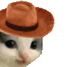 z_meowdymeowhello z_meowdymeowhello