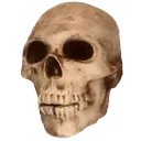 skull_2