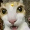 emoji_49