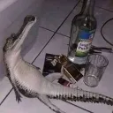 sadsarco