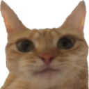 tan_catwhathefreak Discord emoji