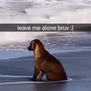 LeaveMeAloneBruv