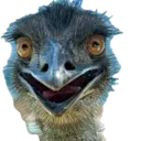 emu