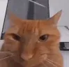 zu