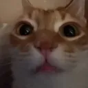 floopy