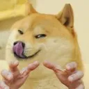 efe012be572da041a7ee7ac28ac5e309