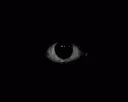 Scary