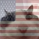 Merica
