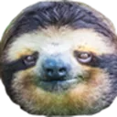 SeriousSloth